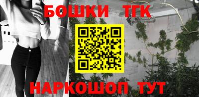 крисы Моздок