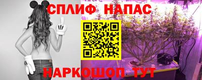 гидропоника Можга