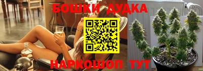гидропоника Можга