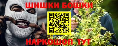 крисы Моздок
