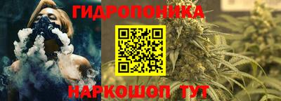 гидропоника Можга