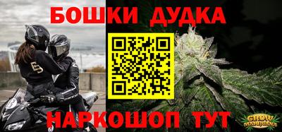 крисы Моздок