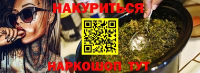 крисы Моздок