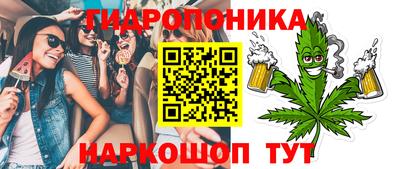 крисы Моздок