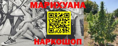 крисы Моздок