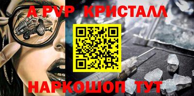 крисы Моздок