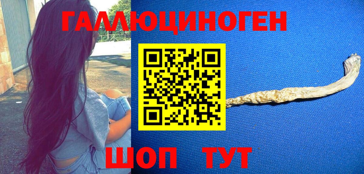 Галлюциногенные грибы Psilocybine cubensis Урюпинск