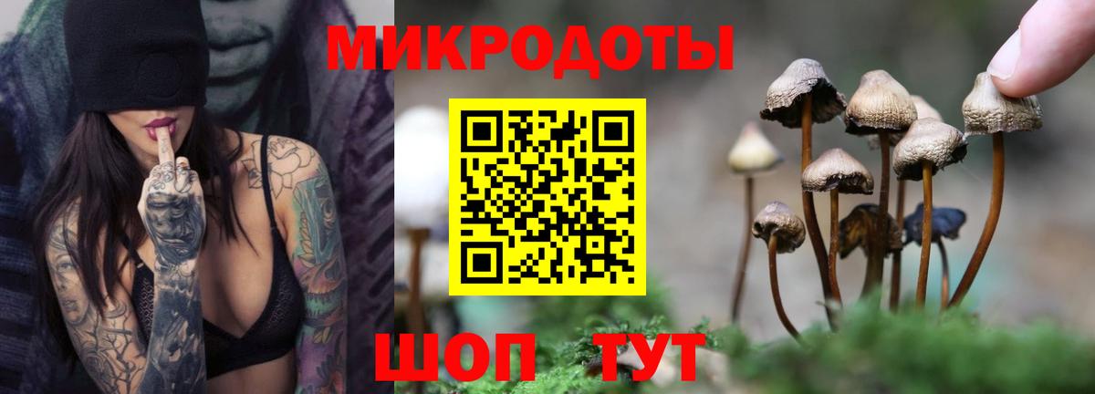Галлюциногенные грибы GOLDEN TEACHER  Галлюциногенные грибы MAGIC MUSHROOMS  Вход с VPN  Урюпинск 